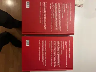 Dansk engelsk ordbog 