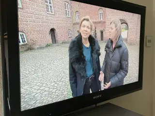 TV BRAVIA /skærm 65 cm.