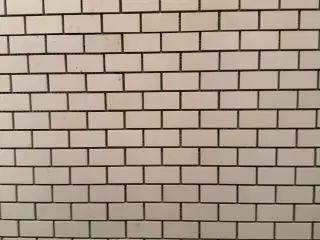 Mosaik , fransk ny