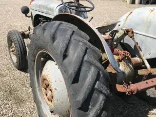 FERGUSON 31