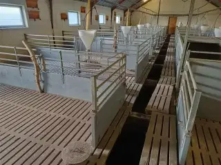 Vissing Agro foderautomat