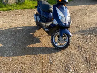 PGO T.REX, 45 Scooter