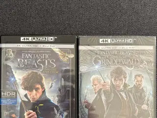 4K film Fantastic Beasts