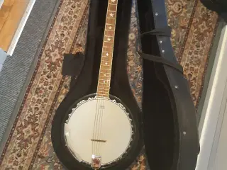 6 strenge banjo 