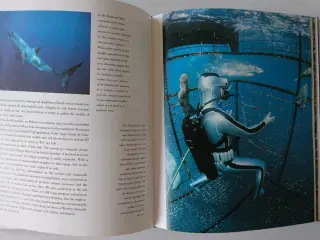 Cousteau´s Australia journey. Af Jean-Michel Coust