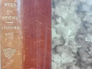 Danske byer og Sogne. Aalborg Amt