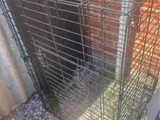 Hundebur