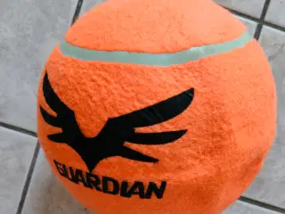 Basketball 🏀 