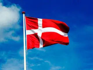 Flag til parcelhus