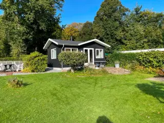 Flensborg Fjord - Hyggeligt bj�lkehus p� 1154 m2 grund i 1. r�kke mod fjorden. *****INTERNET*****