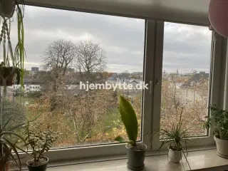 Hjembytte - Næstvedgade