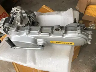 Honda Express motor