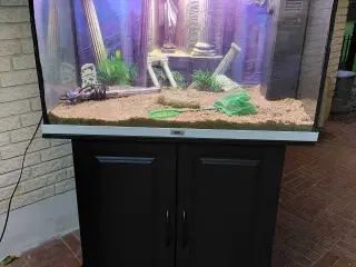Akvarier 125L 