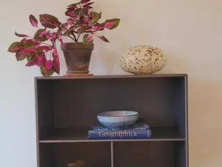 Montana reol med 4 små rum og 1 stort