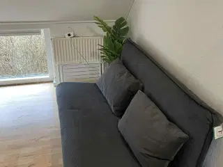 Flot sovesofa fra Halle