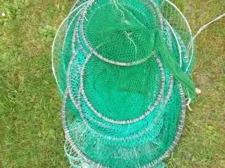 Ruse rog rusebøjler.