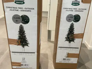 Udendørs juletræer med lys