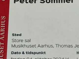 Peter Sommer