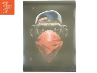 Plakat med abemotiv fra Minda Design Studio (str. 50 x 70 cm)