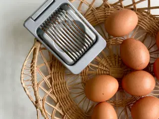 Æggedeler, Westmark England