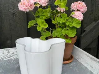 Aalto Vase - Littala 
