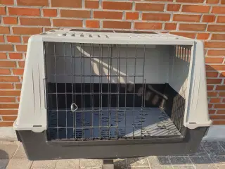 Transportkasse til hund i meget fin stand.