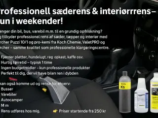 Professionel sæderens & interiørrens – kun i weeke