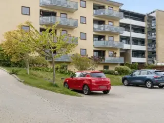 Andelsbolig