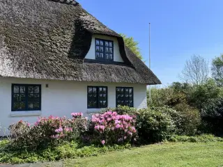 Privat strand p� sk�nne Als, 8-10 personer, ledigt
uge 28, 30, 31 (fre-fre)