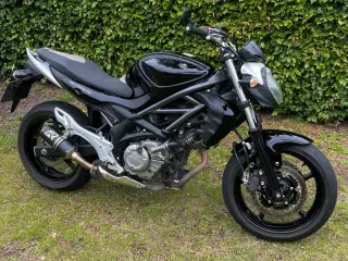 Suzuki SFV 650 gladius