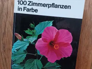 100 Zimmerpflanzen in Farbe