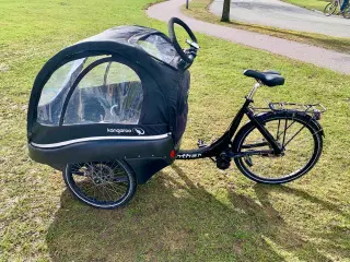 Winther ladcykel med el sælges 