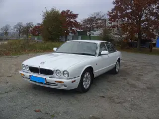 jaguar XJ 8