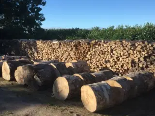 Brænde ren løvtræ tørt 2 år