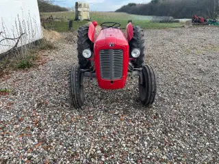 Massey ferguson 35 benzin