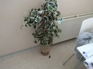 Div. Kunstige planter i vaser