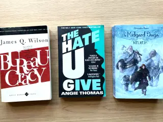 📚 Book Bundle for Sale – 3 Unique Reads
