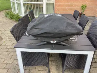 Weber q 1200 gasgril
