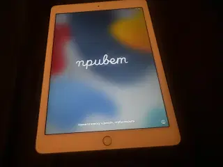 iPad