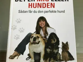 Hundebøger