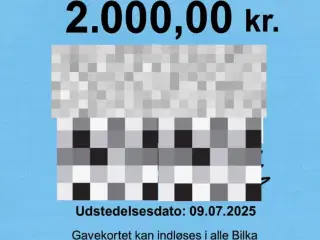 2x 2000kr. Digitale Bilka gavekort