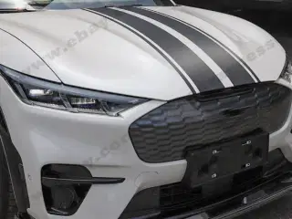 Ford Mustang Mach e stafferinger