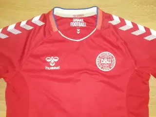 DANMARK HOME 2018/19, STR. 14 ÅR, I FLOT STAND