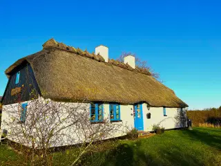 Hyggeligheden til salg