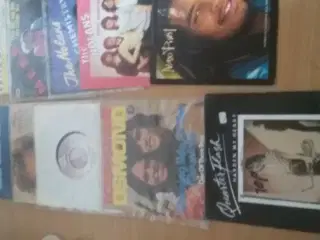 Vinylplader 