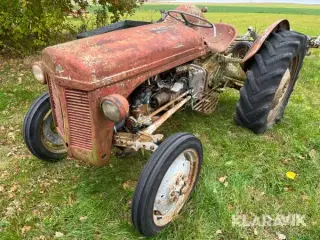 Veteran traktor Massey Ferguson 26 eller 31 Benzin