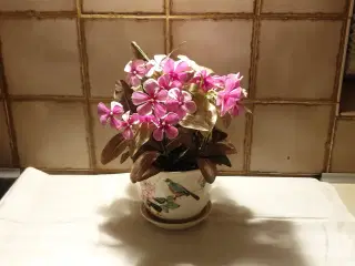 GRATIS Urteopotte m blomst