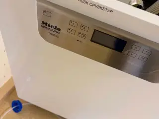 Miele Professionel PG8059AW