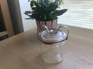 Henkogningsglas - 1/4 L - med gummiring og bøjle