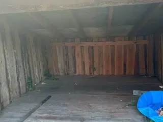 Shelter